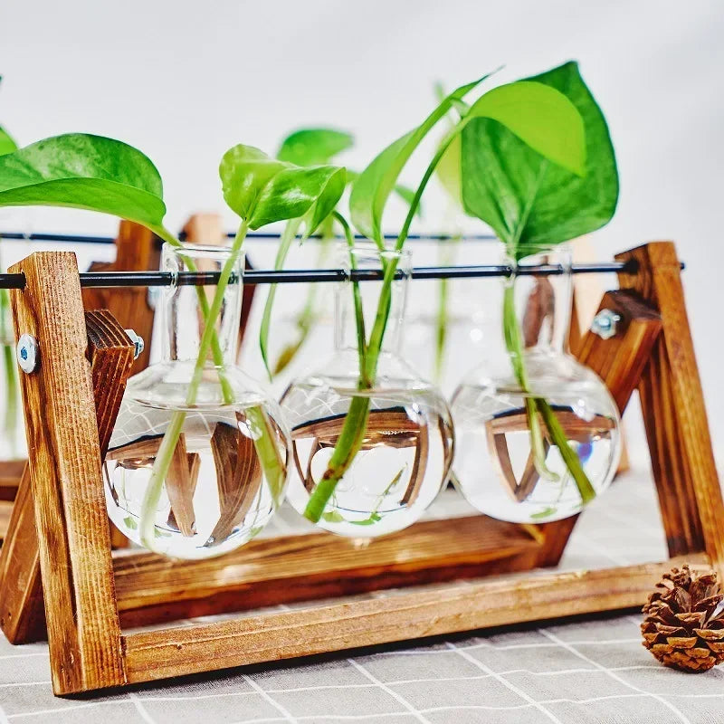 Wooden Frame Tabletop Vase Set Multi-Purpose Bonsai Planter