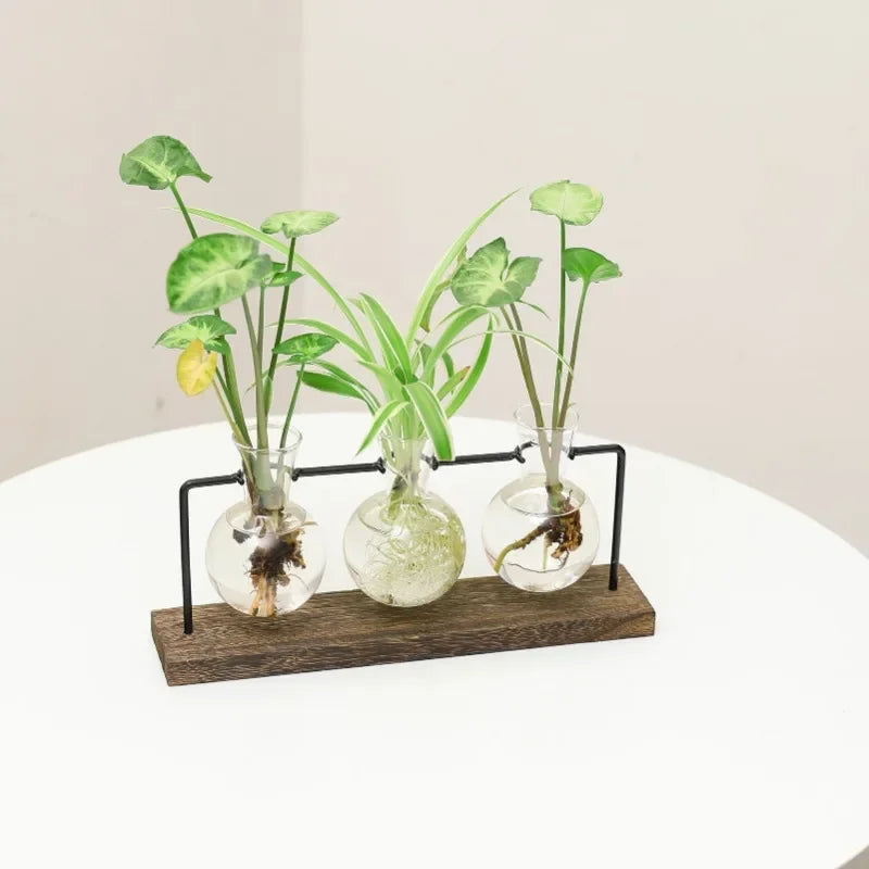 Wooden Frame Tabletop Vase Set Multi-Purpose Bonsai Planter
