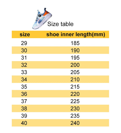 Two Wheels Roller Skating Shoes With Light