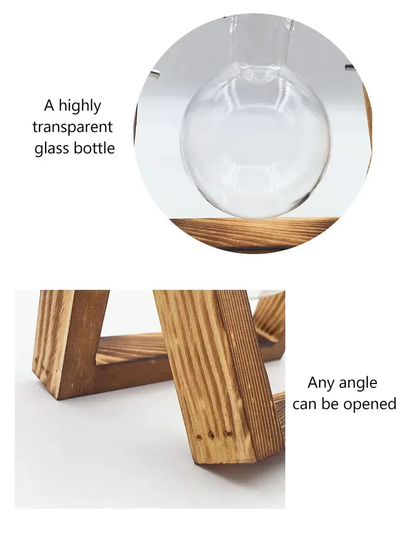 Wooden Frame Tabletop Vase Set Multi-Purpose Bonsai Planter