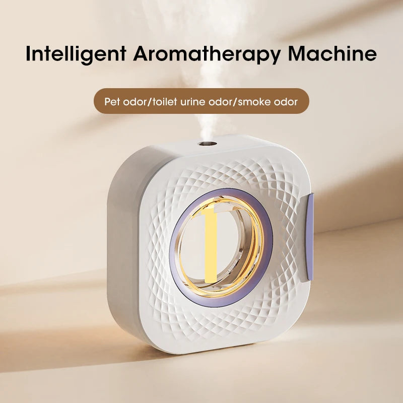 Smart Air Purifier with Display